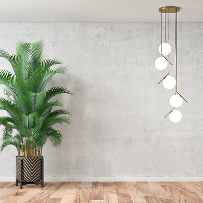 Empty elegant room with pendant lights and potted plant  (howea forsteriana) on hardwood floor in front of concrete wall background and copy space. 3D rendered image.