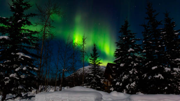 istock Northern Lights at Wiseman 1315976585