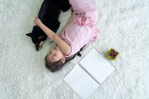 アジアの女の子がリビングルームのカーペットの上で柴犬を抱きしめて眠っています。 - child house dog bed ストックフォトと画像