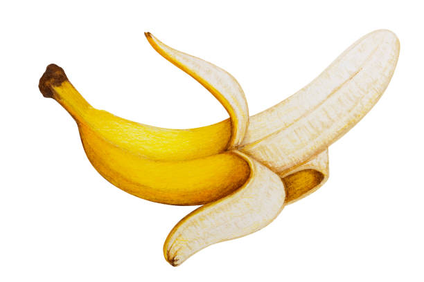 Peeled banana painted by colored pencils, isolated on white with clipping path for easy use.