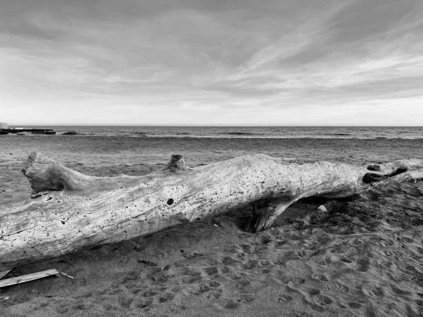 istock Landscape of beach 1315978301