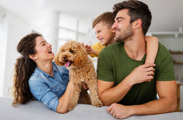 buona famiglia. bellissimi giovani genitori che si divertono, giocano con il loro figlio a casa. - dog education holding animal foto e immagini stock