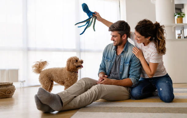 счастливая семья играет со своей собакой дома. люди животных животное любовь концепции - family dog happiness pets стоковые фото и изображения