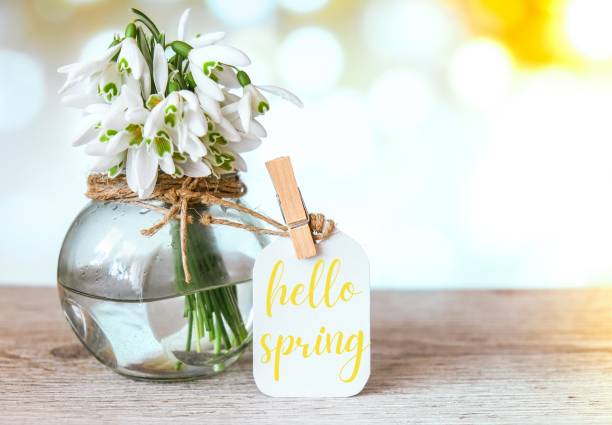 istock Greeting card text HELLO SPRING lettering with snowdrop flowers. Early spring flowers. Springtime. Fresh bouquet 1315985425