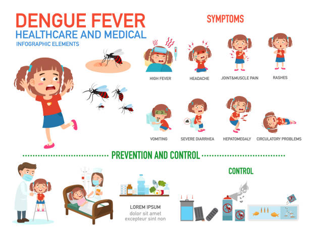 ilustrações, clipart, desenhos animados e ícones de infográficos da dengue. - dengue