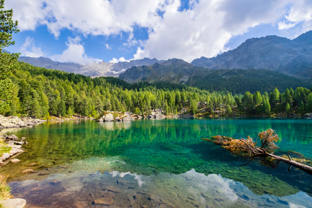 istock Lagh da Saoseo, Val di Campo - Switzerland 1315989488