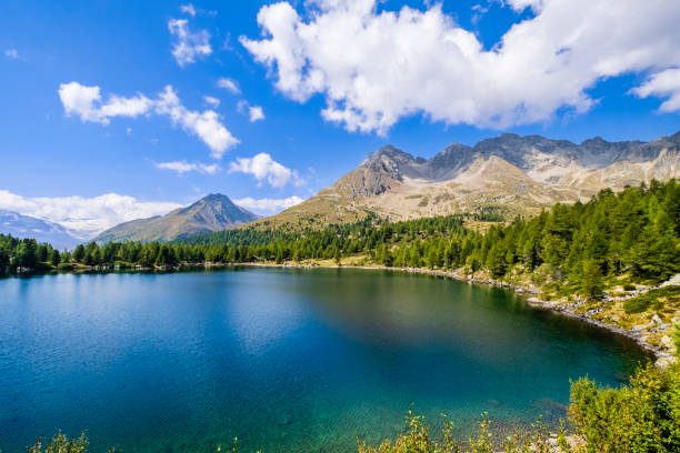 istock Lagh da Val Viola, Val di Campo - Switzerland 1315989673