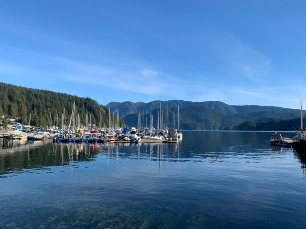 istock Boats in the harbour 1315989795