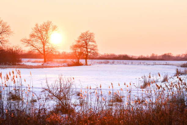 istock Winter sunset between the trees on the Widawa River. 1315990871
