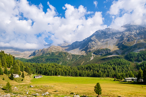Val di Campo, a side valley of the Valposchiavo, in the Swiss canton of Graubunden