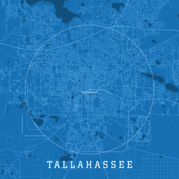 Tallahassee FL City Vector Road Map Blue Text Tallahassee FL City Vector Road Map Blue Text. All source data is in the public domain. U.S. Census Bureau Census Tiger. Used Layers: areawater, linearwater, roads. tallahassee stock illustrations