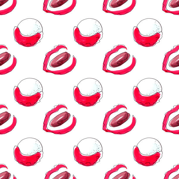 istock Illustration by markers. Tropical fruits. Lychee. 1316000739