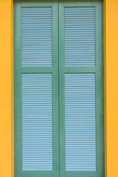 istock Wooden green door 1316000949