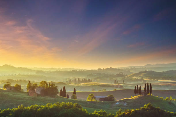 istock Cypress trees in Tuscany, Italy 1316001991
