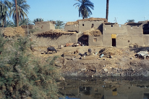Egypt, 1979. Large family farmhouse on a Nile canal.