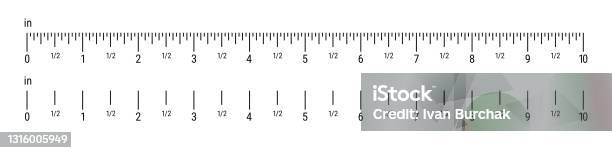Tenth Inch Scale Inch Ruler Scale 10 Inches Scale Flat Vector Illustration Isolated On ...