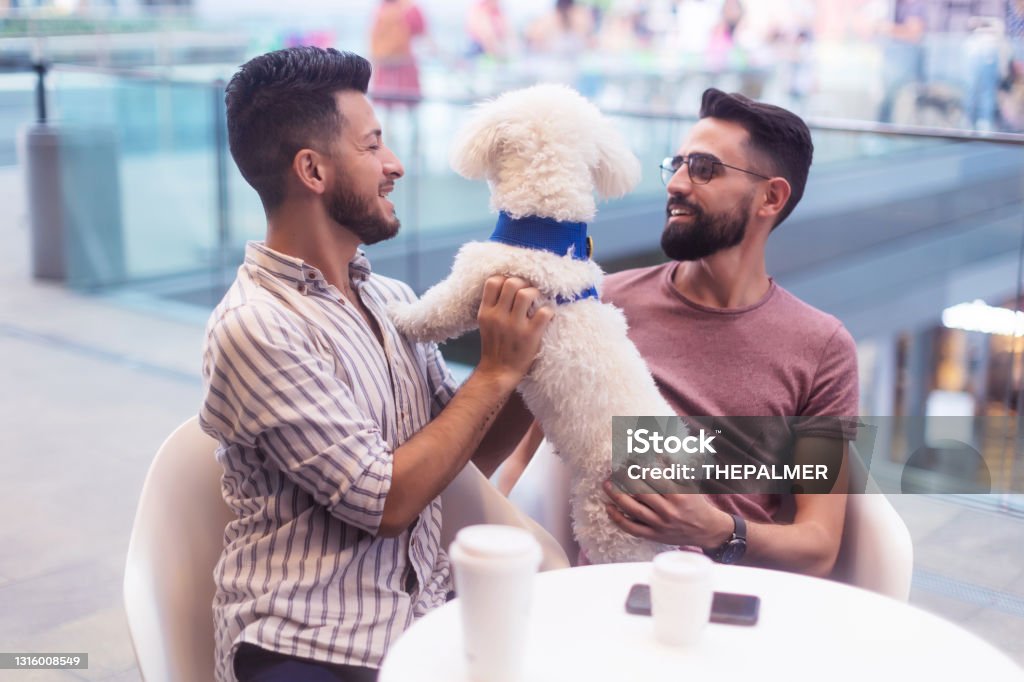 Latino couple at a cafe with their curious dog 20-29 Years Stock Photo