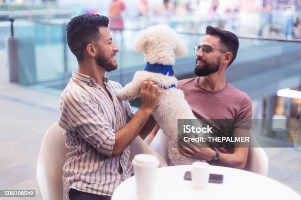 Latino Couple At A Cafe With Their Curious Dog Stock Photo - Download Image Now - 20-29 Years, Adult, Adults Only