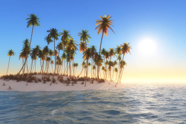 istock Desert island lost in ocean with blue sky 1316008990