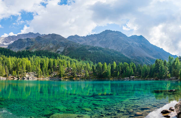 istock Lagh da Saoseo, Val di Campo - Switzerland 1316009013