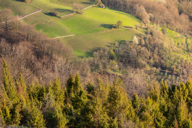 Panoramic view of field hills and forests in Serbia