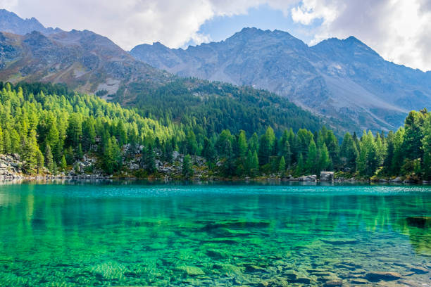 istock Lagh da Saoseo, Val di Campo - Switzerland 1316011659