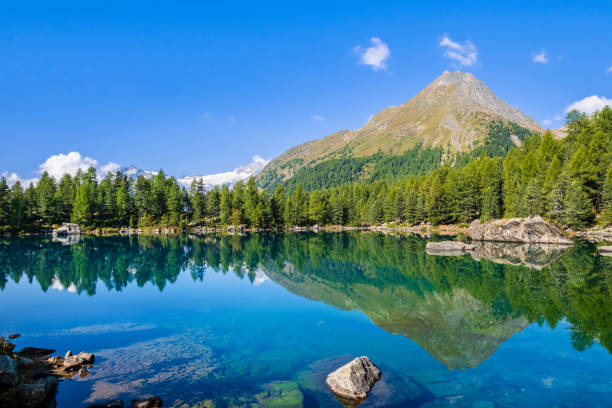 istock Lagh da Saoseo, Val di Campo - Switzerland 1316011707