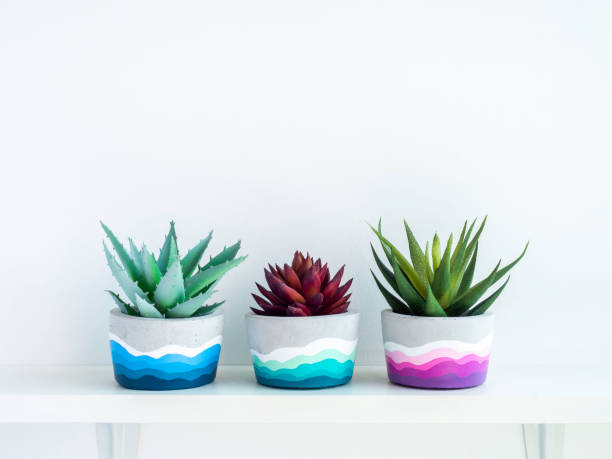 istock Beautiful unique DIY painted concrete pot. 1316012764