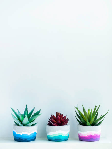 istock Beautiful unique DIY painted concrete pot. 1316012766
