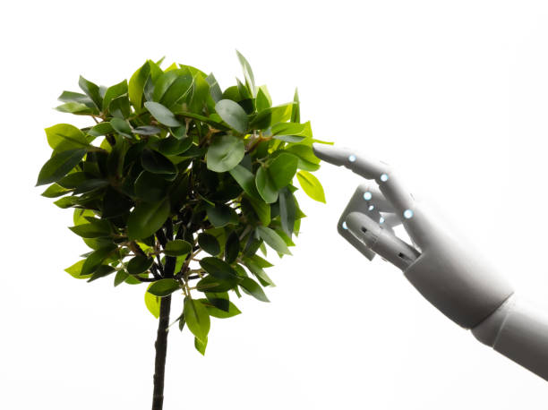 istock robot arm with green leaves 1316013443
