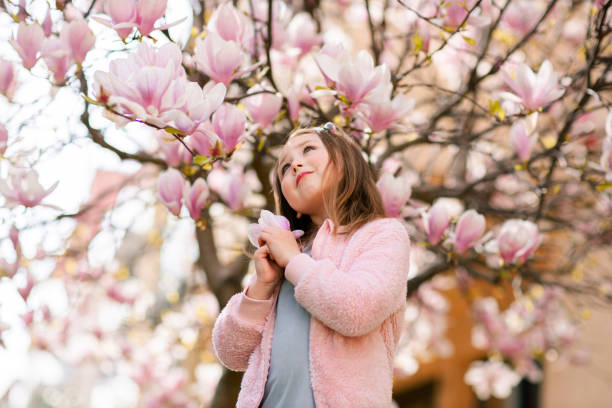 urocza dziewczynka w szarej sukience ubranej w kurtkę rosa pozostającą pod kwitnącym różowym drzewem magnolii - sweet magnolia tree blossom white zdjęcia i obrazy z banku zdjęć