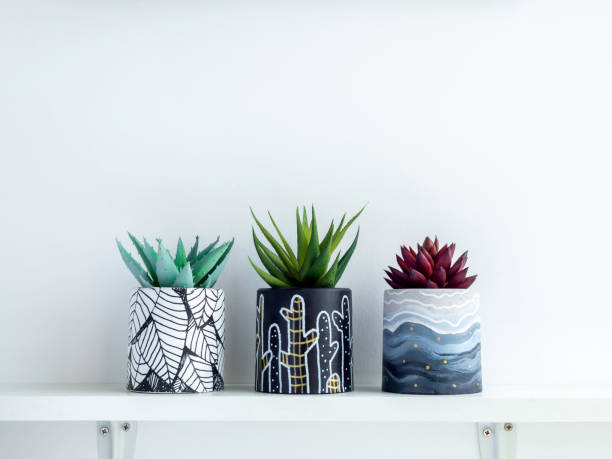 istock Beautiful unique DIY painted concrete pot. 1316013739