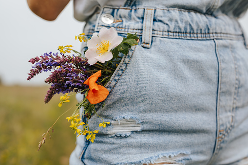 Close-up shot of beautiful multi colored wildflowers in female jeans pocket in nature