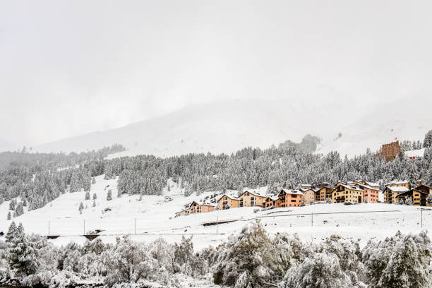 istock Snowy Landscape in Switzerland 1316019593