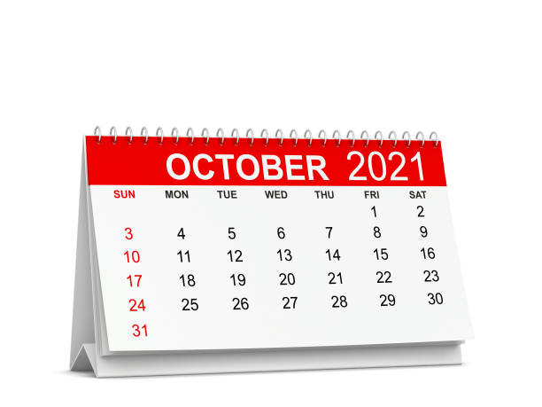 istock Calendar for year 2021. Week starts with sunday 1316021414