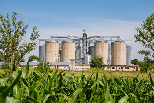 Agricultural silos of concrete and metal. Storage of agricultural production.