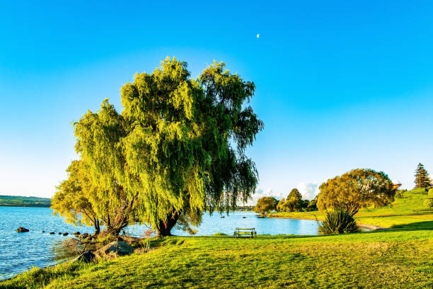 istock Magnificent  evening on the lake. 1316021921