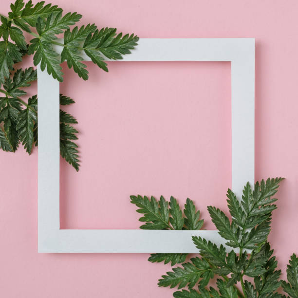 istock White frame on a pink pastel background with copy space for text or message - Green leaves decorate a party invitation or announcement 1316022013