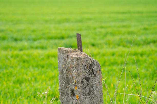 istock Concrete post in a green background 1316022182