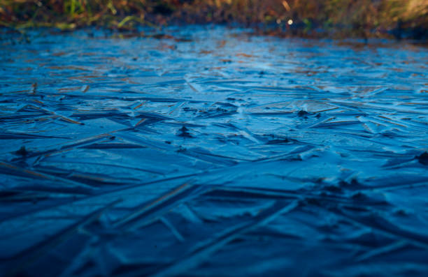 Frozen moor at Ridge of Cappard. Slieve Bloom Mountains, County Laois, Ireland. Macro photography.