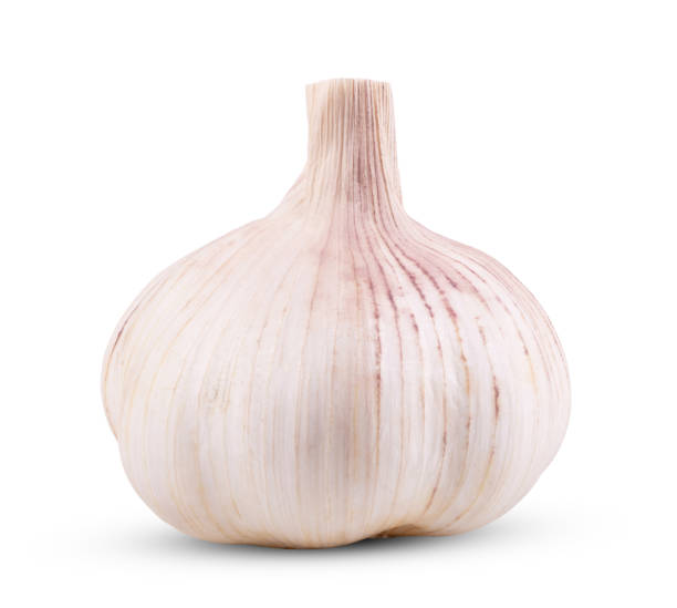 istock Garlic isolated on white background close op 1316028154