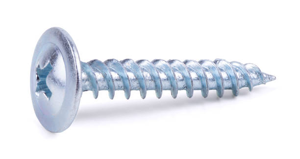One Self Tapping Screws isolated on white background