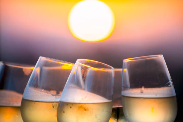 istock Group of friends having fun and toasting outdoors with white wine 1316030892
