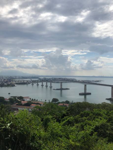 istock Nature and the city connected by the bridge 1316031702