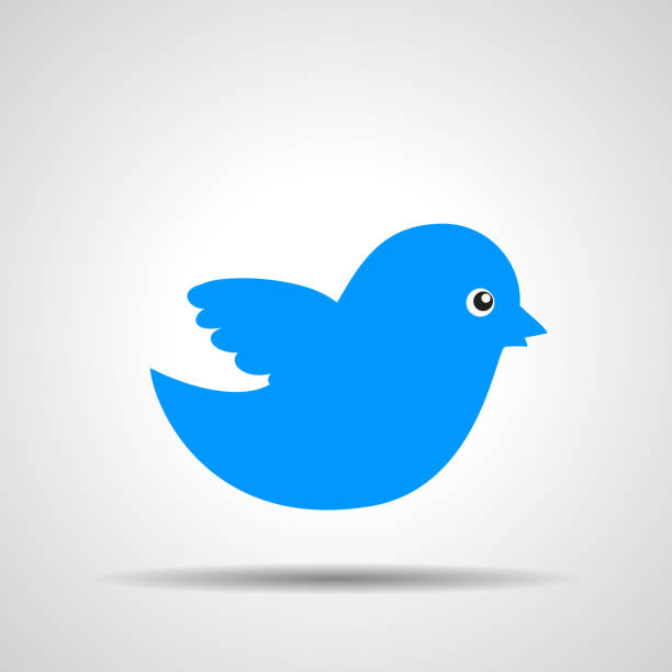 ilustraciones, imágenes clip art, dibujos animados e iconos de stock de icono de pájaro azul sobre un fondo gris - twitter