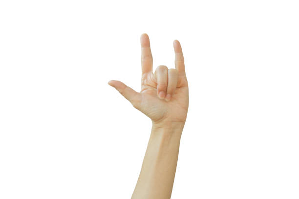 istock Caucasian female hand gesturing in white background. 1316037218