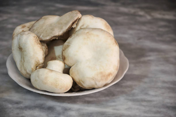 istock Champignon mushrooms on a plate 1316042922