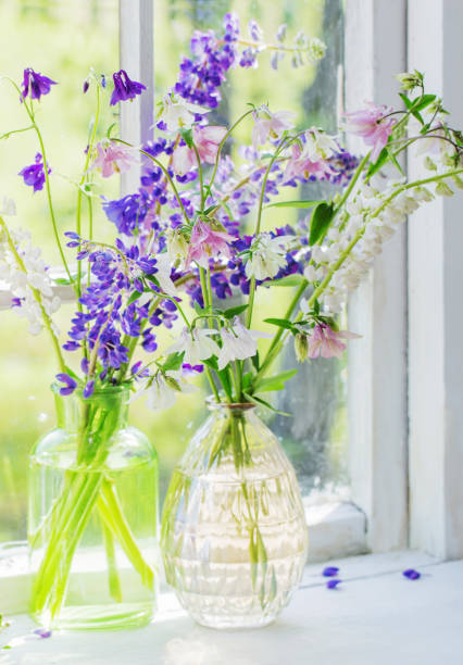 istock summer flowers in vase on windowsill in sunlight 1316044512