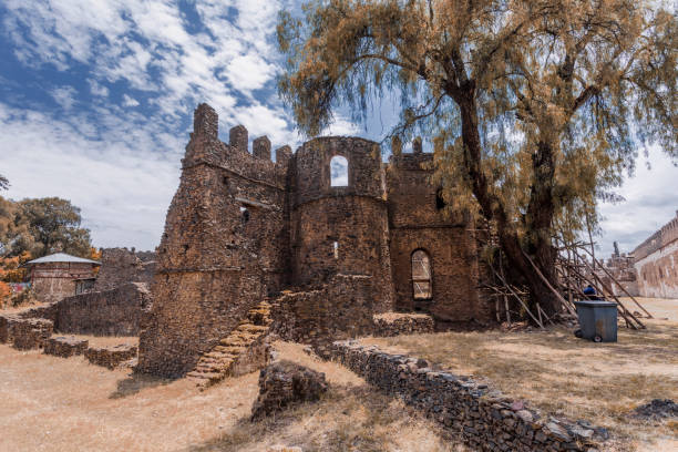 istock Fasil Ghebbi, royal castle in Gondar, Ethiopia 1316044589