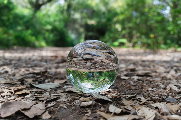 istock Crystal Ball in the Forest 1316048547